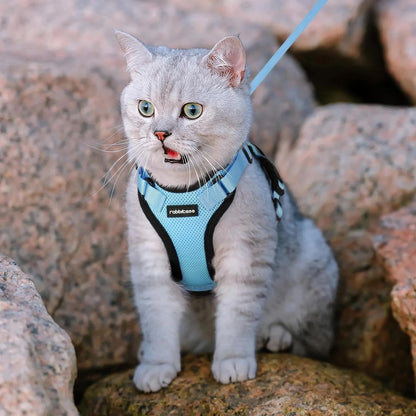 Cat Harness and Leash for Walking, Escape Proof Soft Adjustable Vest Harnesses for Cats, Easy Control Breathable Reflective Strips Jacket, Baby Blue