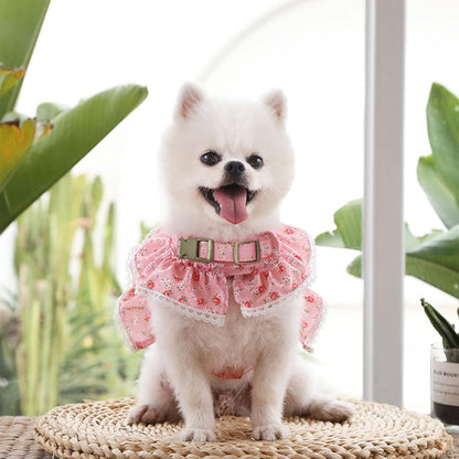 Girl Dog Dress Harness Dog Valentines Outfit Dog Princess Birthday Party Dress Easy Walk Dog Harness and Leash Set for Puppy Doggie Small Medium Dogs Cats