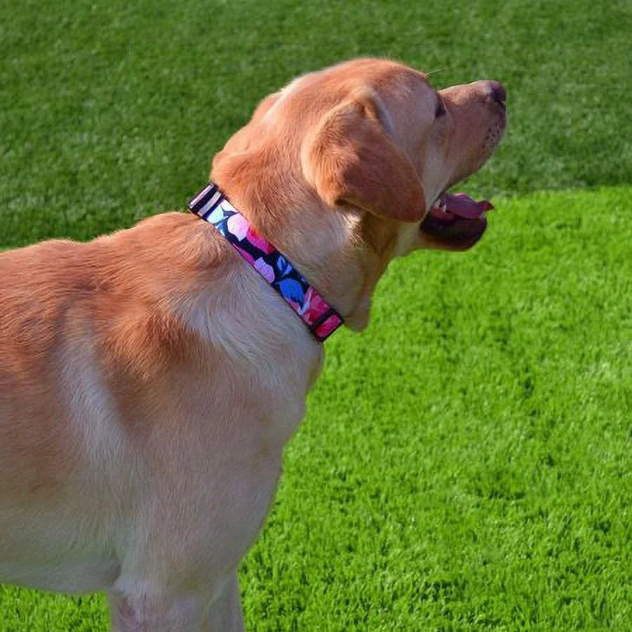 3 Packs Dog Collar with Patterns, Adjustable Dog Collars for Small Medium Large Dogs (M)