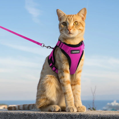 Cat Harness and Leash for Walking, Escape Proof Soft Adjustable Vest Harnesses for Cats, Easy Control Breathable Reflective Strips Jacket, Rose Red