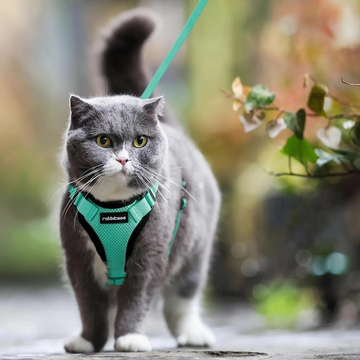 Cat Harness and Leash for Walking, Escape Proof Soft Adjustable Vest Harnesses for Cats, Easy Control Breathable Reflective Strips Jacket, Turquoise Green